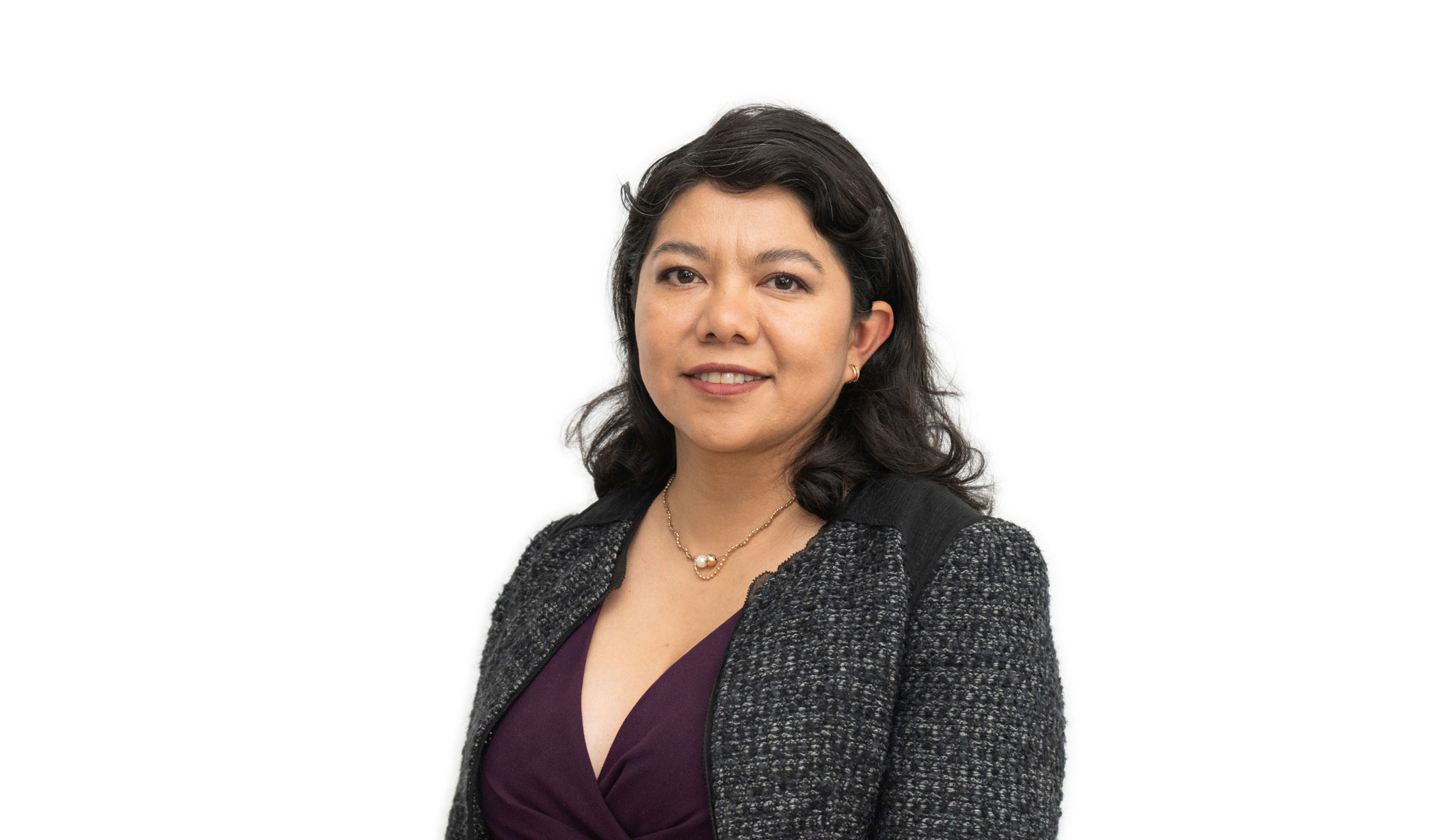 Dra. Shiduet Mariana Castro Hernández