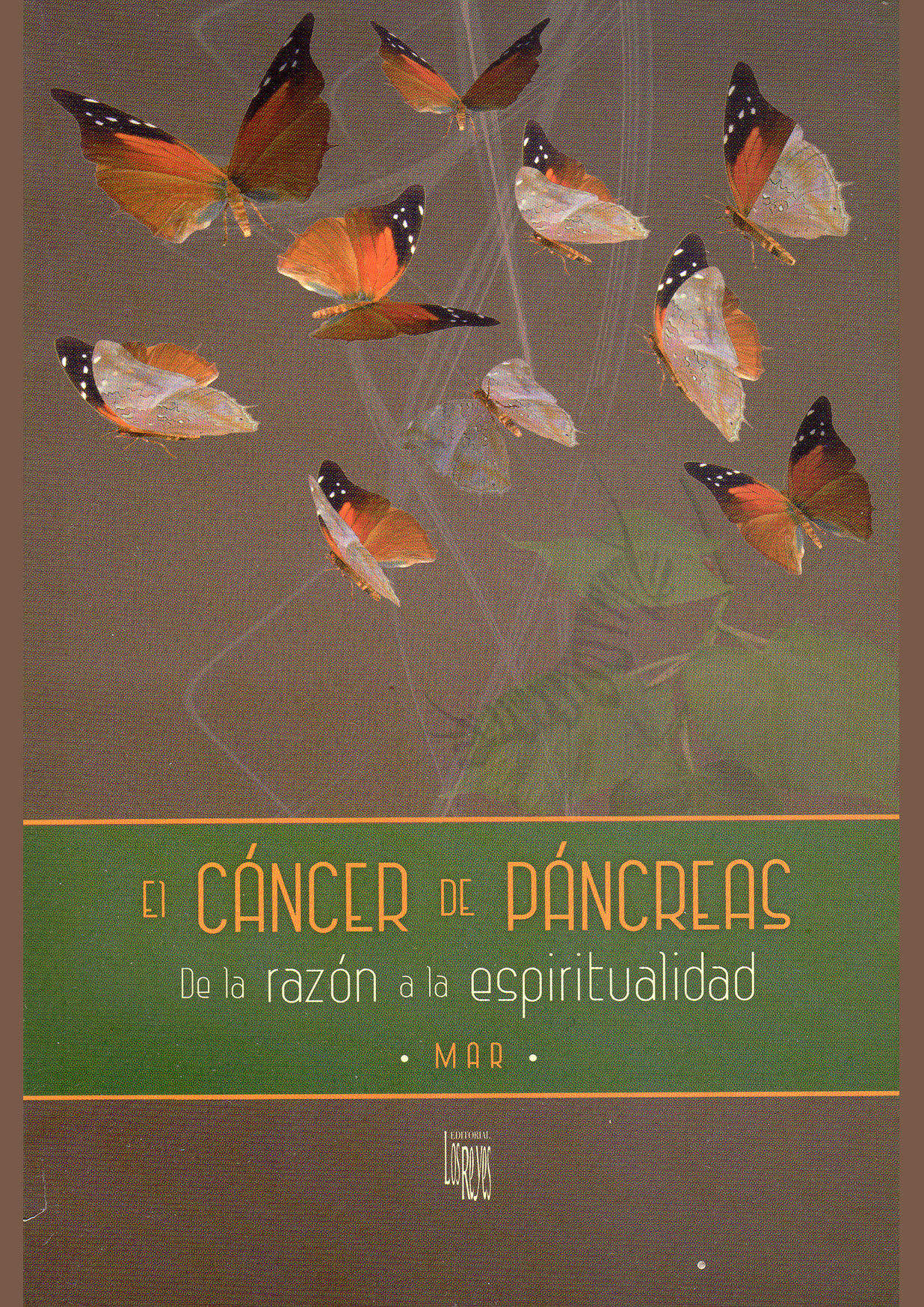 El Cáncer de Páncreas. De la razón a la espiritualidad