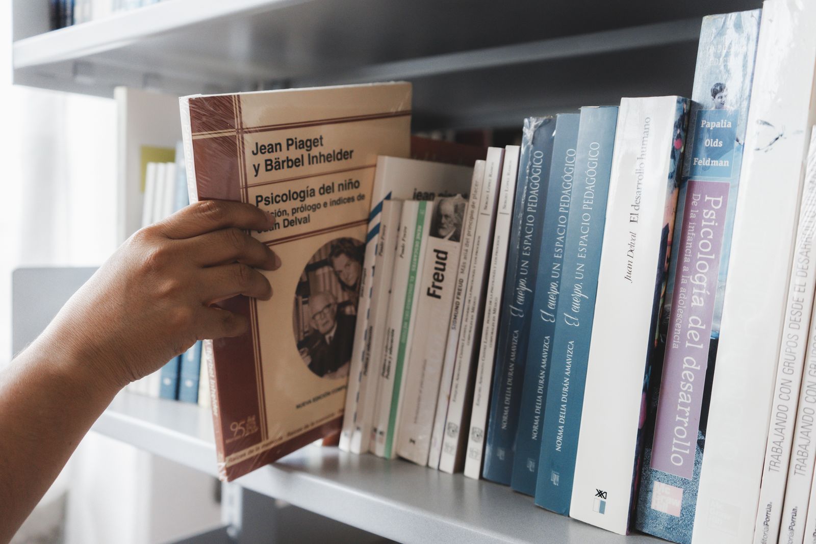 Licenciatura en Psicología